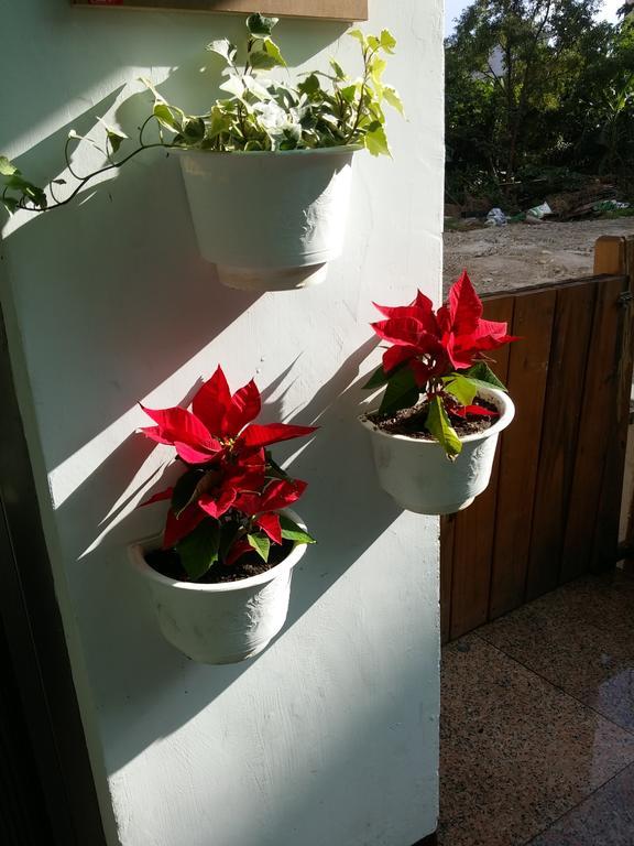 Flower B&B Città di Hualien Esterno foto